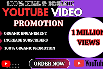 do organic youtube video promotion, SEO promotion to reach 1 million views
