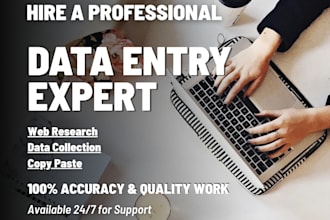 do professional data entry and urdu typing and excel tasks