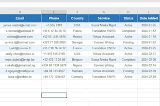 organize, clean, and input data efficiently