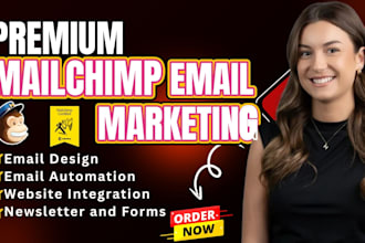 be email marketing specialist for klaviyo or mailchimp email automation campaign