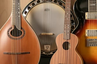 do mandolin, banjo, ukulele, electrical guitar for country and rap song