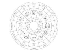 provide vedic astrology counciling and reading