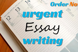 do urgent essay writing as an essay writer