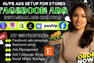 facebook, instagram ads for stan store beacons ai shopify digital product store