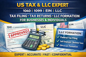 professionally prepare US tax filing, US tax returns, llc for business