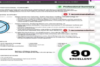 write edit executive resume ats resume as expert CV maker in 24 hours
