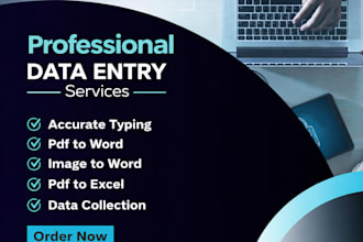 accurate typing, PDF to word, image to word data entry