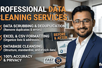 do professional excel data cleaning, deduplication, and spreadsheet formatting