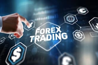build stock trading website, forex trading website, trading website