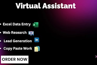 be your personal assistant for data entry and lead generation work