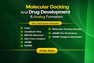 do molecular docking of protein ligand interaction