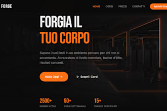 any professional website plan only 950 dollars limited time offer
