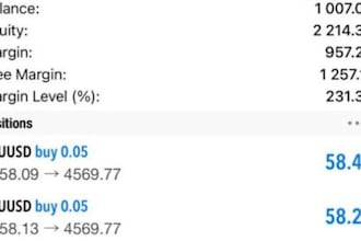 gold trading bot, forex bot, trading ea bot, forex trading, gold xauusd robot ea