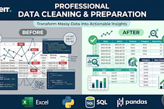 clean, preprocess and format your messy data professionally