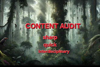audit your content for logic, narrative, and systemic functionality