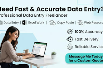 do fast and accurate data entry, excel work, copy paste and web research