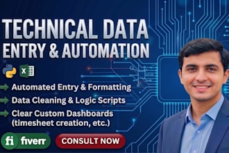 provide advanced excel solutions and automated data entry