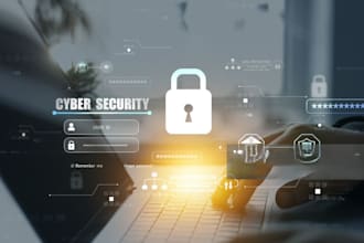 do professional cyber security audit and vulnerability scanning