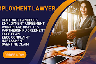draft employment contract and handle disputes for you