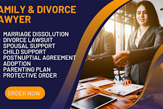 handle your divorce, marriage, and child support legal drafting