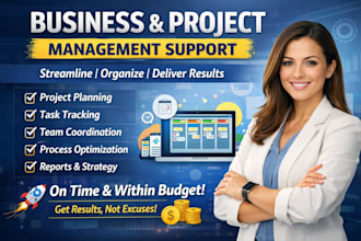 provide professional business and project management support