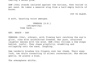 write a cinematic feature film screenplay or full script