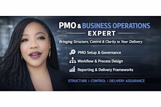 optimize and set up your pmo, project delivery, and business