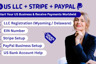 register your US llc and help you open stripe paypal and US bank account