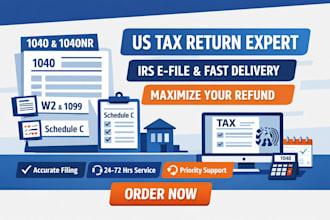 efile US tax return form 1040, w2, individual tax and expat tax filing