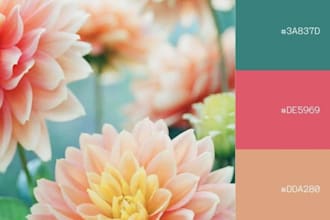 design color palette, brandbook and moodboard for your brand and website