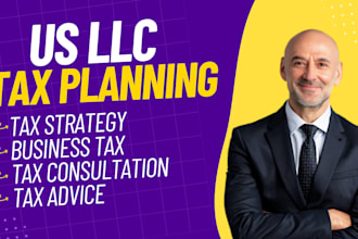 provide US llc tax consultation to save money and stay compliant