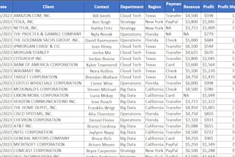 professional in excel payroll, data entry, and data cleaning