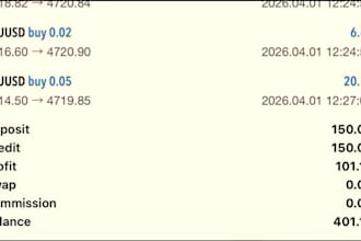 scalping robot trading ea robot gold ea bot xauusd robot gold ea robot xauusd ea