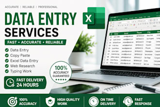 do accurate data entry, copy paste, excel data entry fast