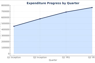 do financial forecasts, cashflows, financial projection and budgeting