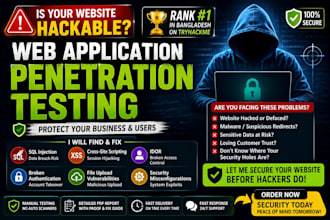 perform professional web application penetration testing and vapt