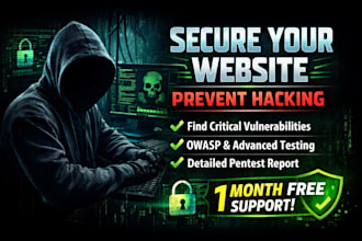 do professional website penetration testing and find vulnerabilities owasp 10