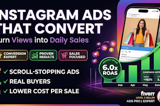 run expert high converting instagram ads campaign for brands