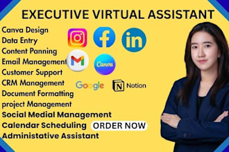 be your executive virtual assistant for social media, ghl, notion, and mass