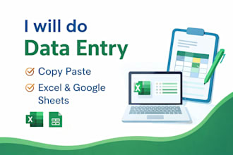 do fast and accurate data entry in excel or google sheets
