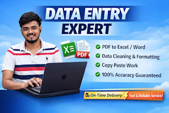 excel data cleanup, data entry, virtual assistant