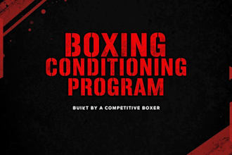 design a boxing conditioning and fight training program