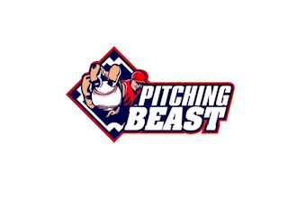 create gorgeous quality logo for baseball pitching website