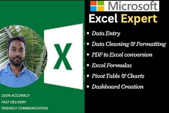 do excel data entry, cleaning, formatting and pivot table