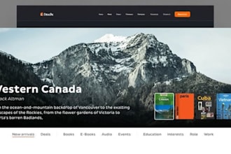 build professional book or ebook author website blogger website in wordpress
