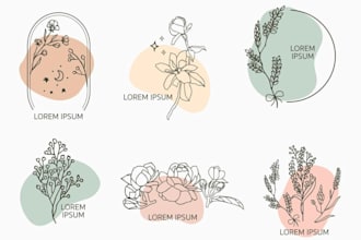 design a beautiful hand drawn boho botanical feminine line art logo for you