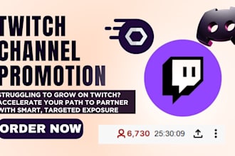do twitch channel promotion to boost your twitch live viewers