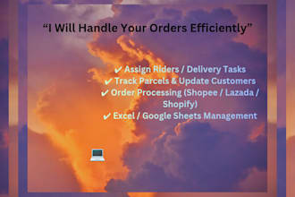 be your ecommerce logistics coordinator, order processing