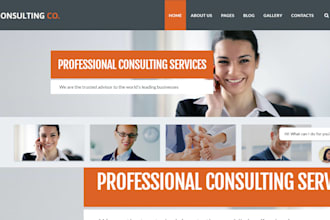 basic website, simple website, startup website, make website