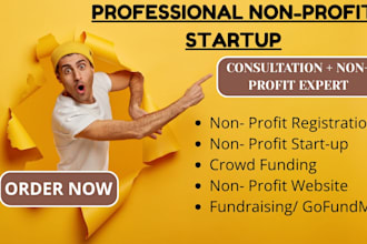 do consultant for llc nonprofit registration startup, bylaws form 1023 501c3 ein